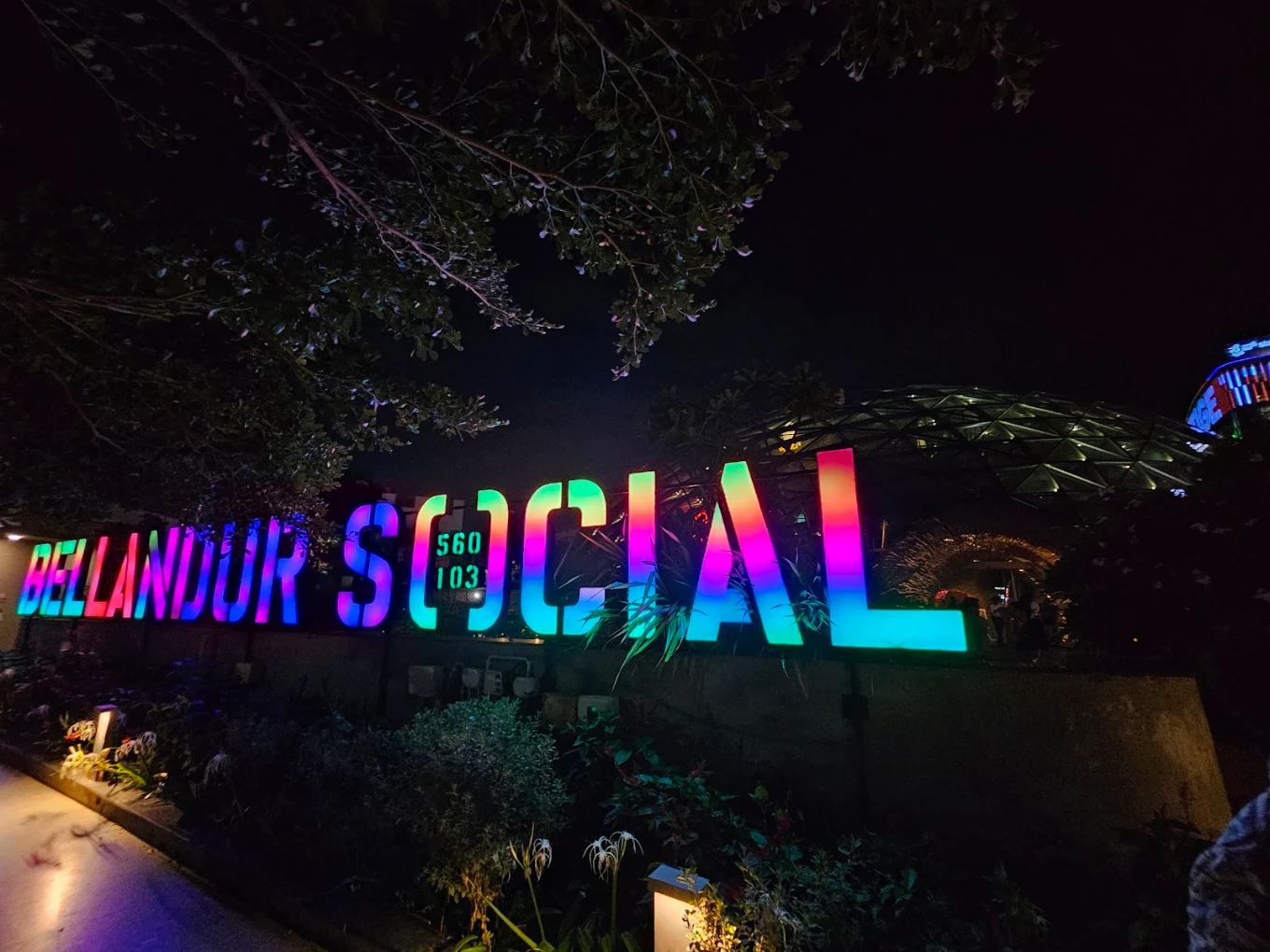 Colorful neon ‘Bellandur Social’ sign glowing at night among plants