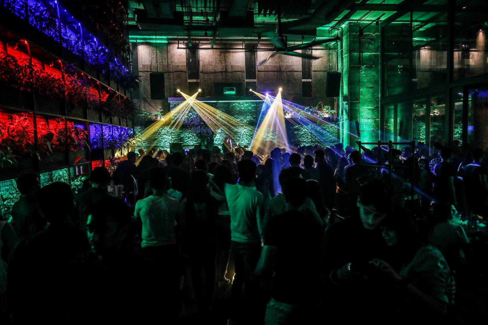 51284382_1546209818856175_4717089794386034688_o